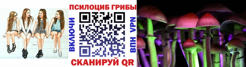 где купить наркоту  Талица  Псилоцибиновые грибы Cubensis 
